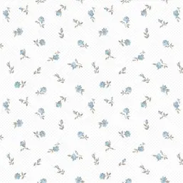  Aura Pippo  455-1