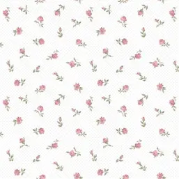  Aura Pippo  455-2