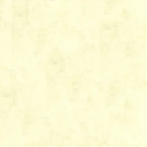 Обои Aura Plain Resource I B1181102 - фото 1