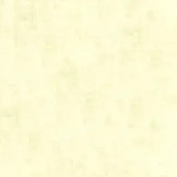  Aura Plain Resource I B1181102