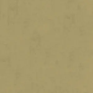  Aura Plain Resource I B1181105 -  1