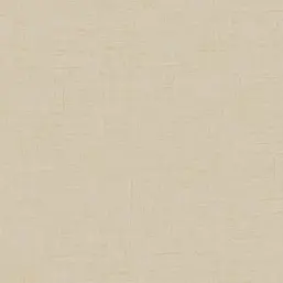  Aura Plain Resource I MS-170203