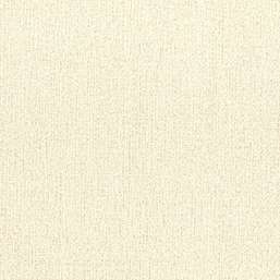  Aura Plain Resource I MS-170404