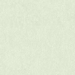  Aura Plain Resource I MS-171004