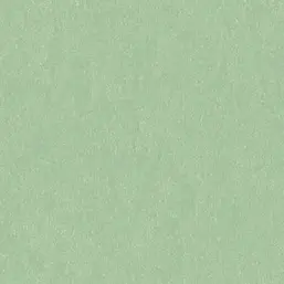  Aura Plain Resource I MS-171005
