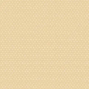  Aura Plain Resource II B1180401 -  1