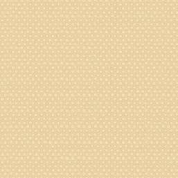  Aura Plain Resource II B1180401
