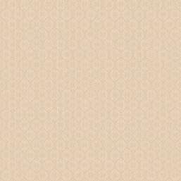  Aura Plain Resource II B1181705