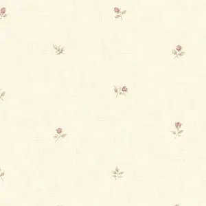  Aura Rose Garden  CG28854 -  1