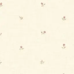  Aura Rose Garden  CG28854