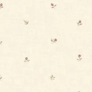  Aura Rose Garden  CG28855 -  1