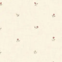  Aura Rose Garden  CG28855