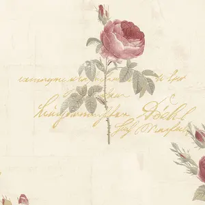  Aura Rose Garden  CG28860 -  1