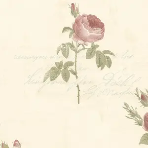  Aura Rose Garden  CG28861 -  1