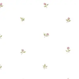  Aura Rose Garden  CG28872