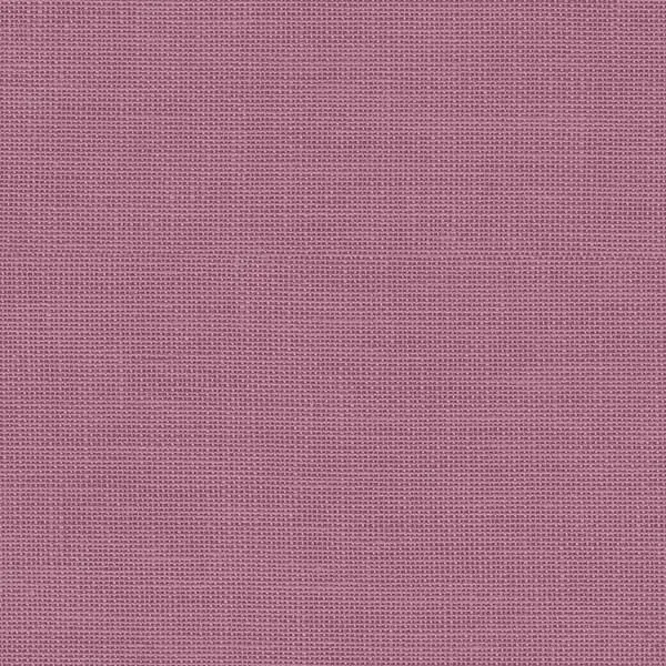  Aura Rose Garden  RG35706 -  1