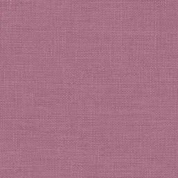  Aura Rose Garden  RG35706