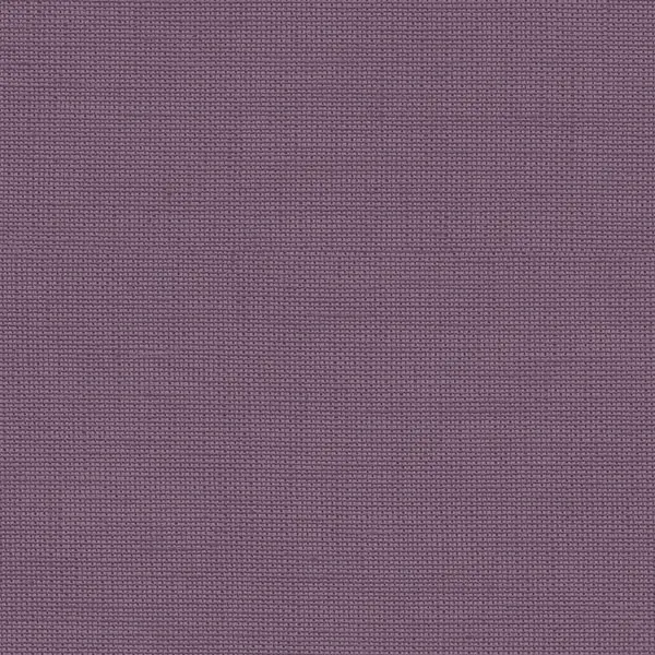  Aura Rose Garden  RG35713 -  1