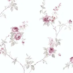  Aura Rose Garden  RG35716