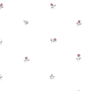  Aura Rose Garden  RG35720 -  1