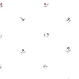  Aura Rose Garden  RG35720