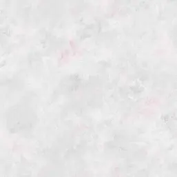  Aura Rose Garden  RG35742