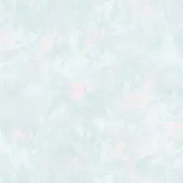  Aura Rose Garden  RG35747