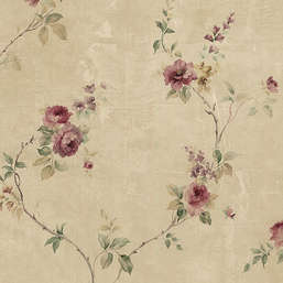  Aura Rose Garden  SP24430