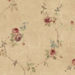  Aura Rose Garden  SP24431