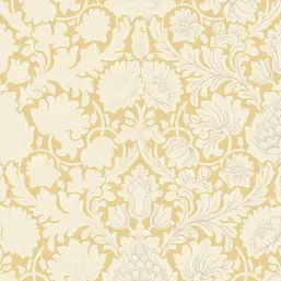  Aura Signature Archives Vol.1  M1682