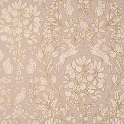  Aura Signature Archives Vol.1  M1687