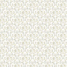  Aura Small Prints G56681