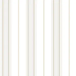  Aura Smart Stripes II G67575 -  1