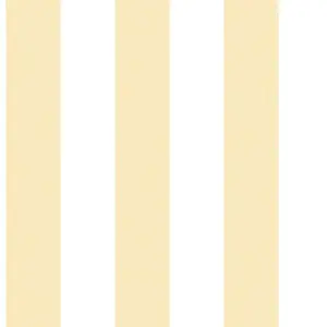  Aura Smart Stripes II G67587 -  1