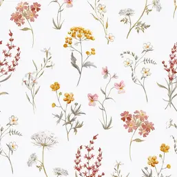  Aura Spring 1901-3