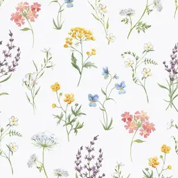  Aura Spring 1901-4