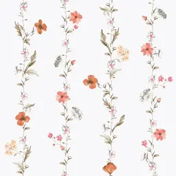  Aura Spring 1902-3