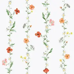  Aura Spring 1902-4
