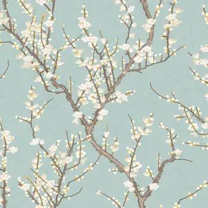  Aura Spring 1903-1 -  1
