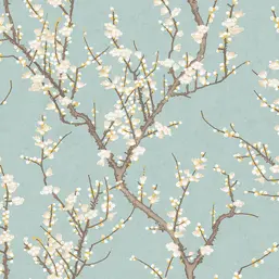  Aura Spring 1903-1