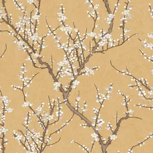  Aura Spring 1903-2 -  1