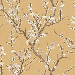  Aura Spring 1903-2