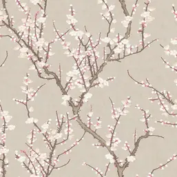  Aura Spring 1903-3