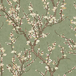  Aura Spring 1903-4