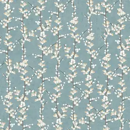  Aura Spring 1904-1