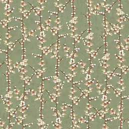  Aura Spring 1904-4