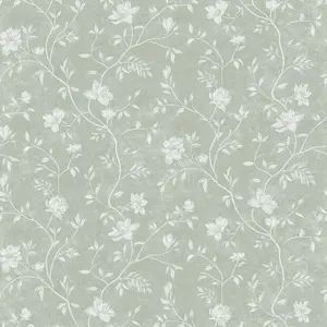  Aura Spring 1907-5 -  1