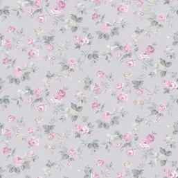 Aura Valentine 1723-4