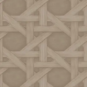  Aura Vogue 221102 -  1