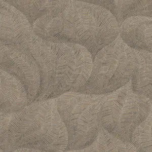  Aura Vogue 221143 -  1
